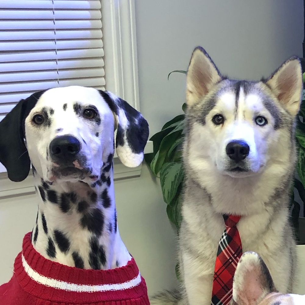 Meet your Posher, Kristen